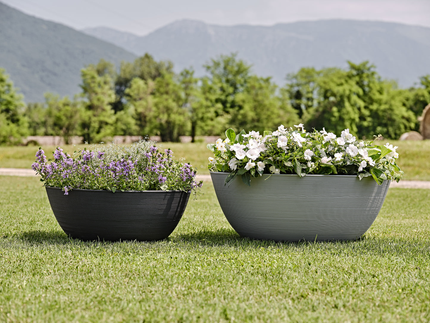 XXL Pflanzschale 'Sahara' Jumbo Bowl Pflanzkübel Italien - GRAU