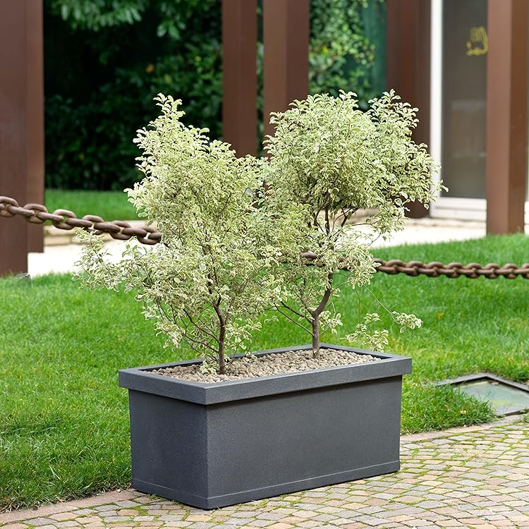 Trog / Planter box rechteckig Liscia Tera aus Italien - Anthrazit