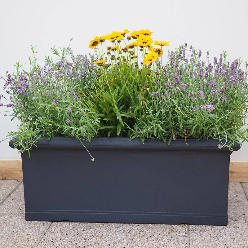 Pflanztrog Blumenkasten Pflanzkübel 'Liscia' Veca aus Italien