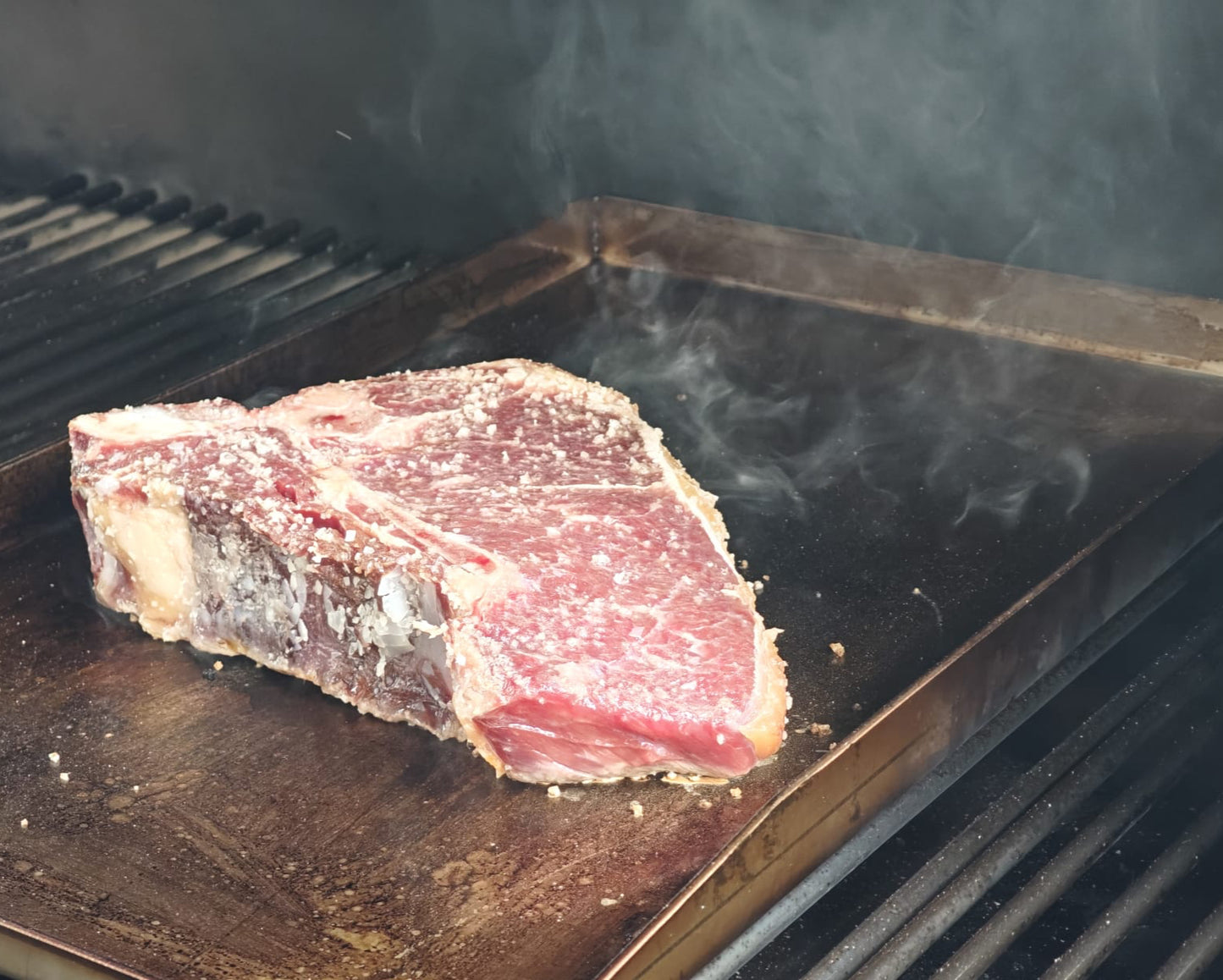 Edelstahl Plancha 49*30*4cm premium Grillplatte massiv 4mm - GEDA Grill