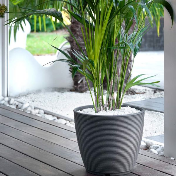 Pflanztopf Pflanzgefäß 'Vaso Ring' 57cm