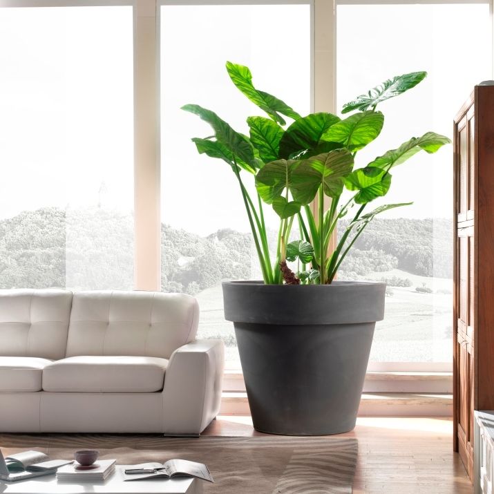 HEM Living Essential Premium XXL Pflanzkübel 'Vera'