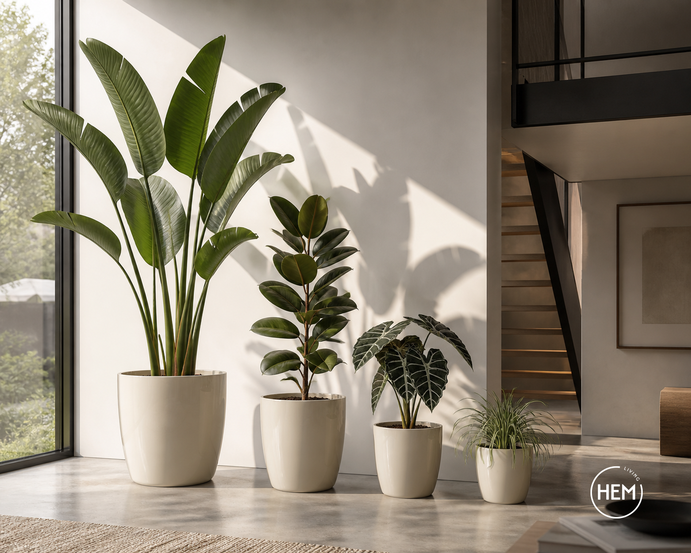 HEM Living Essential Übertopf 'Galleria' Basso