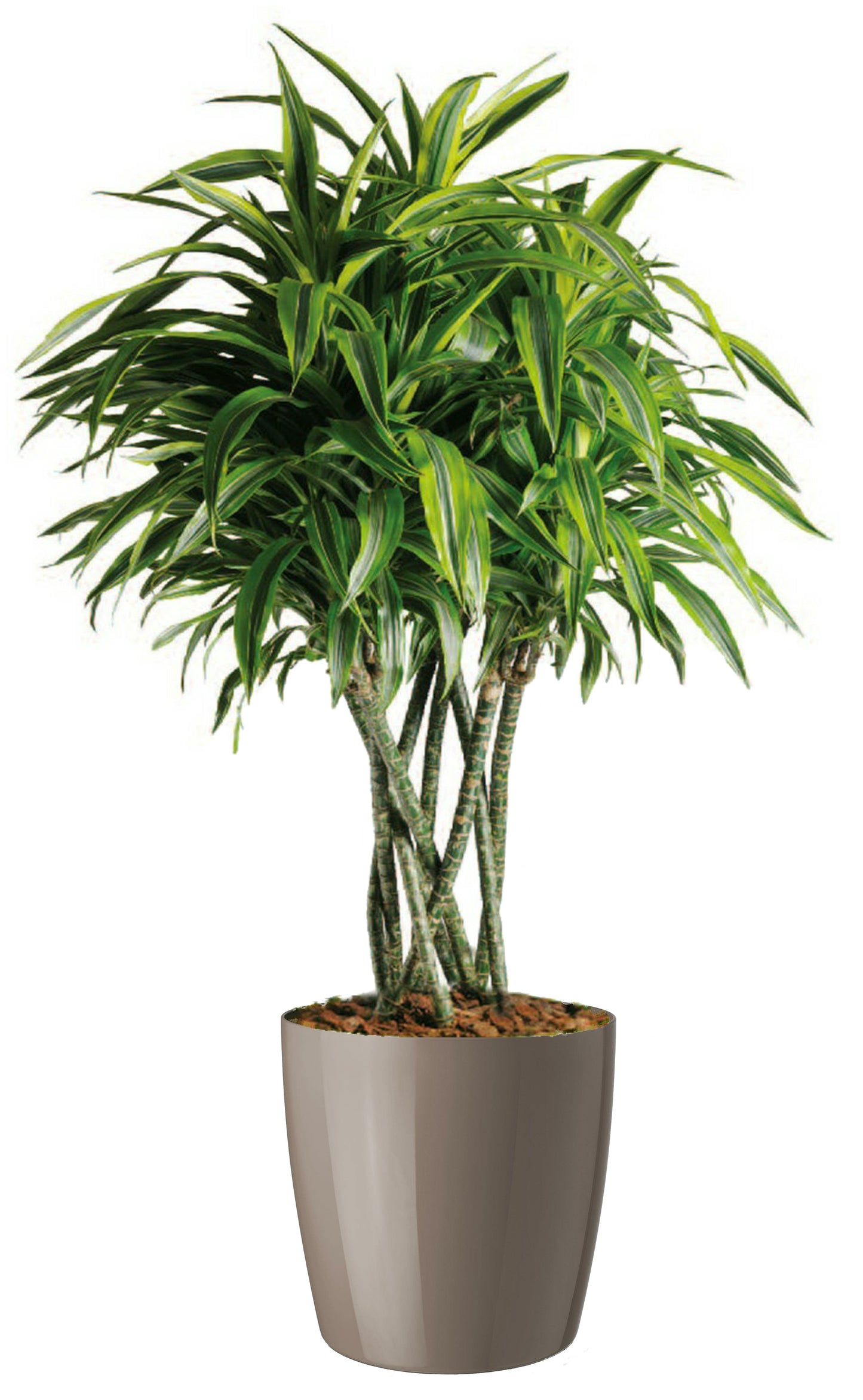 HEM Living Essential Übertopf 'Galleria' Basso