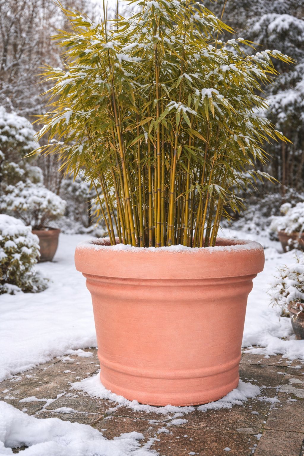 Pflanztopf Cilindro 'Sorrento' - TERRACOTTA